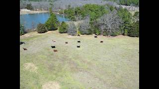 173 Acre Carper Hunting Ranch for sale Antlers OK