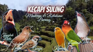 Download lagu Kecapi Suling Suara Air Lovebird Sikatan Londo Kap... mp3