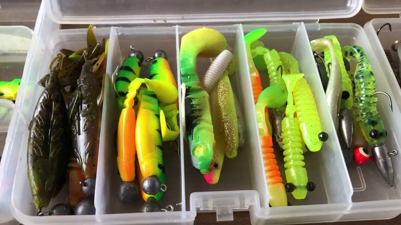 Perch Avı İçin Yem Tavsiyeleri | Dünya Kadar Yem Almaya Son | Tatlısu Levreği Avı | Perch Fishing