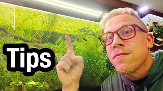 Aquarium Lighting Tips for Plants