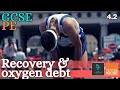 Understanding Recovery in Exercise
