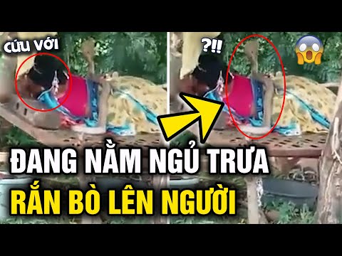 Video Đang nằm 'NGỦ TRƯA' dưới gốc cây, người phụ nữ CHẾT... - youtube