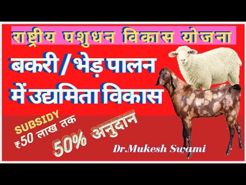 बकरी, भेड़ पालन में 50% सब्सिडी || 50% Subsidy in Goat & Sheep farm || NLM || Dr Mukesh Swami SVO
