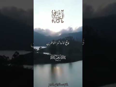 سورة البقرا عبدالباسط عبدالصمد ق ال إ ن ه ي ق ول إ ن ه ا ب ق ر ة ص ف ر اء ف اق ع