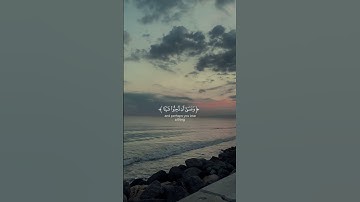 وعسى ان تكرهو شيئا وهو خير لكم ، القارئ محمد هشام