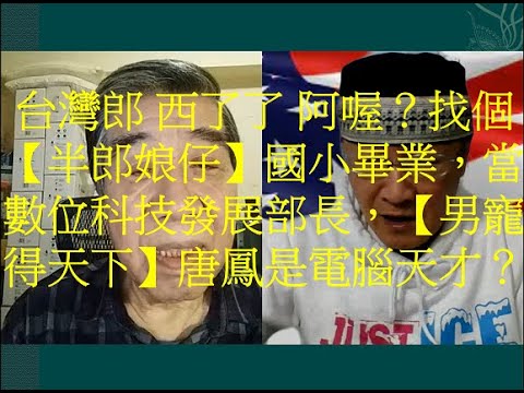 (12/12日) 【男寵得天下】唐鳳是電腦天才？他有數百篇偉大的論文及發明，被刊登在國際知名期刊SCI、SSCI上面？男寵竟給搬到檯面上。專長就是搞網軍，「罷免蔡英文」聯署活動，正式推展。