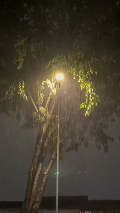 sad vibes #sad #tiktoksadvideos #viral #sadvibes #mentahan #vibesongs