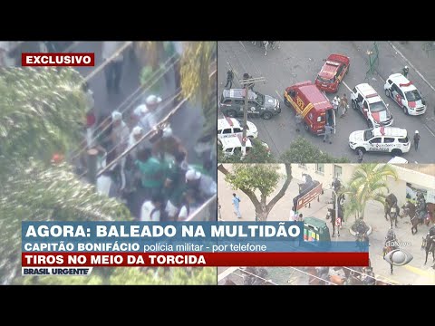 Torcedor é baleado em São Paulo após derrota do Palmeiras