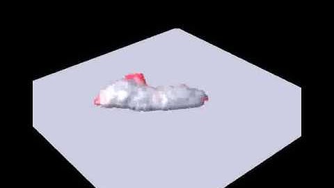 3-Dimensional Simulation of an Amoeboid Cell Like a Dicty Single cell