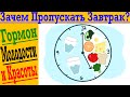 Зачем пропускать Завтрак? Как продлить молодость и избавиться от морщин? Интервальное Голодание!