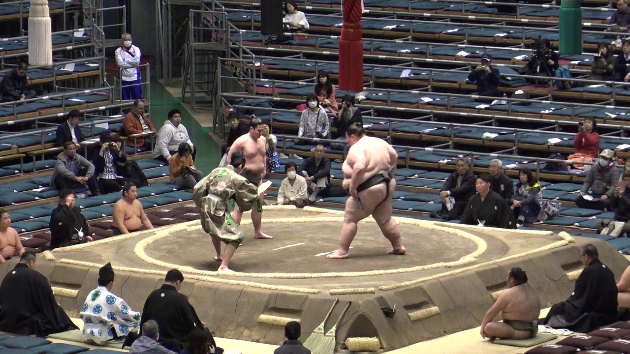 体重290kgの巨漢力士-押してもビクともしない大露羅に対して戦略