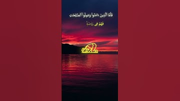 سورة الروم القارئ ياسر الدوساري #القرآن #المصحف#اكسبلور#سورة_الروم#الروم #القارئ#ياسر_الدوسري #لايك