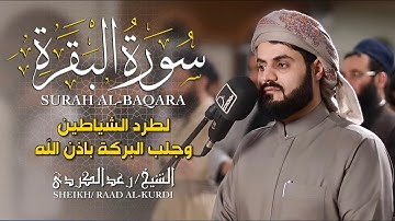 الشيخ رعد الكردي سورة البقرة النسخة الأصلية    Sheikh Raad Alkurdi  Surat Al Baqarah