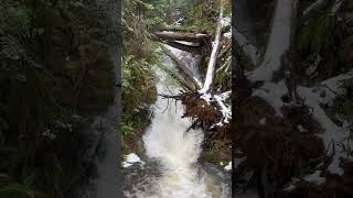 A close look at the waterfall #shortsfeed #nature #shortsvideo #beautifulbc #waterfall #forestriver