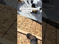 #carpenter #beautifultools #tools4life #woodworking #alltools