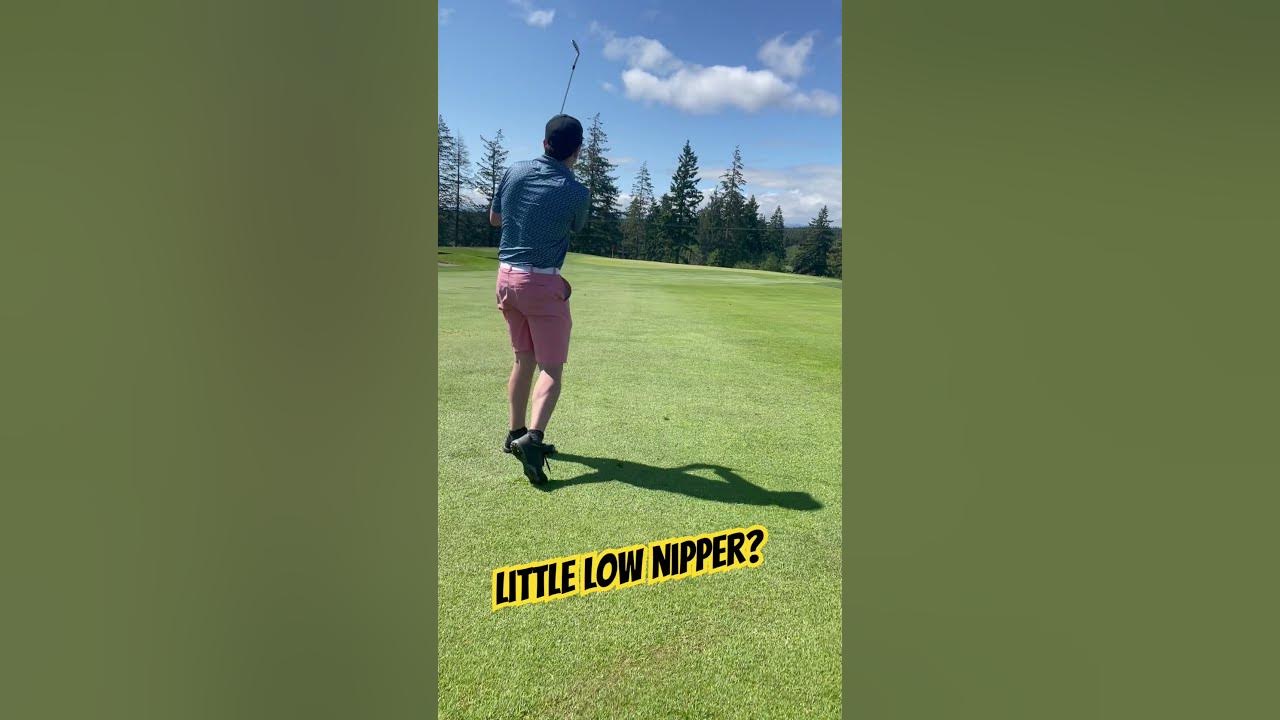 Can I hit a low nipper? golf golfer golfswing nipper wedge short shorts fyp shot 
