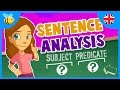 Understanding Clauses and Predicates
