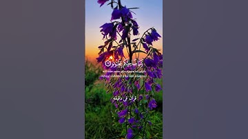 قران كريم ارح قلبك وسمعك #قران_في_دقيقة #quran #سلمان_العتيبي #قرآن @قران_في_دقيقه