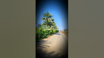 إِنَّا أَعْطَيْنَاكَ الْكَوْثَرَ سورة الكوثر ماهر المعيقلي حلات واتس اب