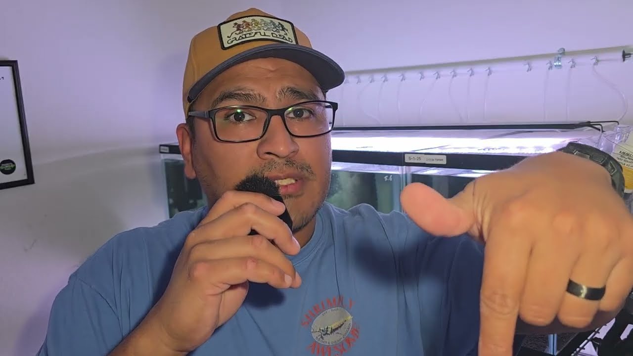 TAP IN FOR A CARIDINA SHRIMP GIVEAWAY