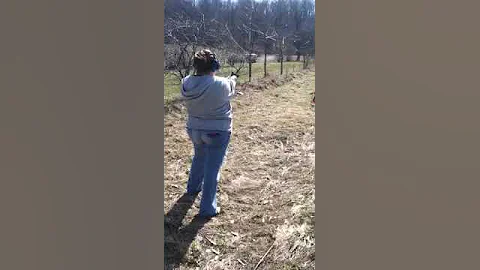 Wife shooting sig misquito