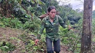 full video: húng Thị Bình _Today I will plant sugarcane and go sell vegetables and banana flowers by Húng Thị Bình  1,305 views 2 days ago 1 hour, 54 minutes