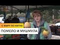 Помело и мушмула / С миру по нитке / 5 серия