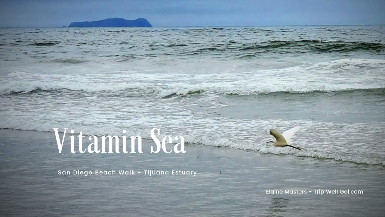 Beach Time - Tijuana Slough National Wildlife Reserve