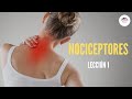 1. NOCICEPTORES (FISIOLOGÍA DEL DOLOR)