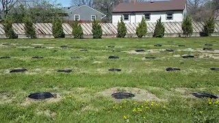 Tree Nursery and Farm in Old North Dayton, Ohio