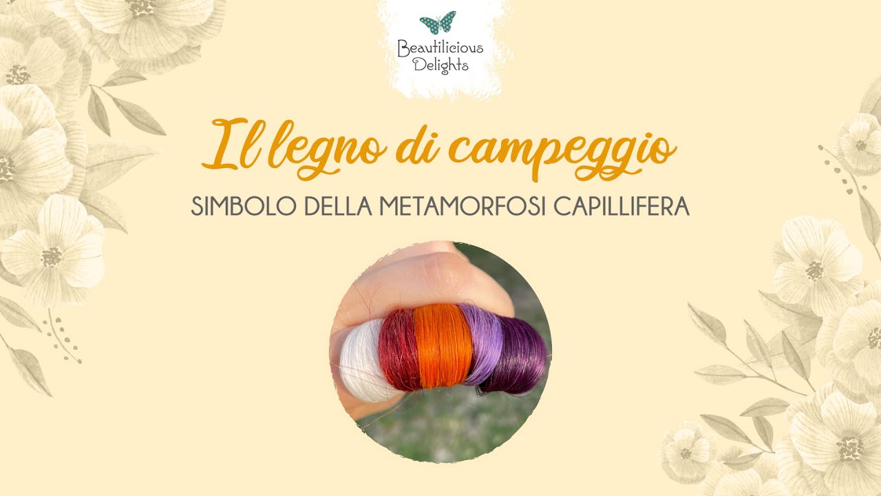 Legno di campeggio: capelli violacei o rosso ciliegia
