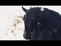 Dom Perignon EDI 🍾 WHAT A HORSE!