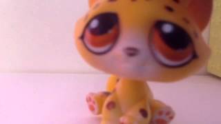 LPS MV- Trouble Maker