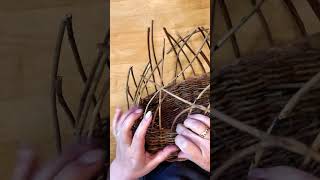 Adding a new stake. #shorts #basketweaving #craft #garden #vines #diy #handmade #naturecraft