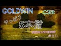 【開封紹介】GOLDWIN c3fit 5本指アーチサポートソックス