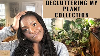 How to Declutter Houseplants | Decluttering my Plant Collection