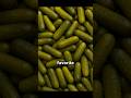 The Oddest Pickle Facts