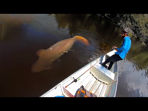 Vídeo: Lagos da região de Chelyabinsk (lista). Pesca e lazer