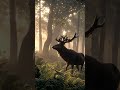 Ein Blick in den heiligen Hain:  #germanen #ancientgermanic #forestvibes # #forestmusic #mistyforest