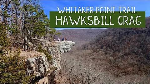 Hawksbill Crag/Whitaker Point | ARKANSAS