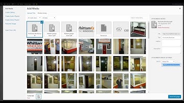 Adding PDF files through DIVI and WordPress