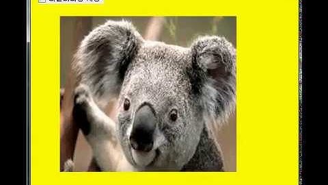 DoubleBuffering Result Example, 더블버퍼링 예제