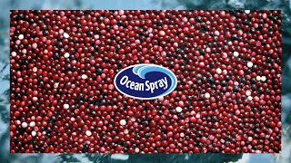 Ocean Spray® Cranberry Juice Cocktail