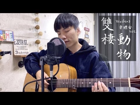 韋禮安 Weibird ver. -《雙棲動物》韋禮安版｜陳星合 Cover 吉他翻唱（原唱:蔡健雅 Tanya）