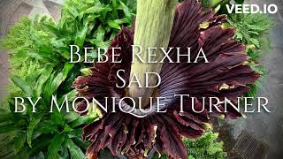 Bebe Rexha Sad by Monique Turner