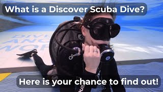 Ever wondered what a Discover Scuba Dive involves? Here's your chance to find out!