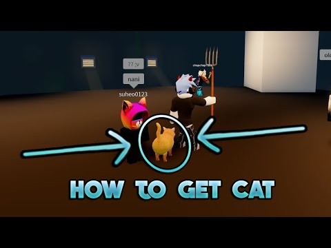 How To Get Cat Roblox Break In Youtube - cat l pro roblox