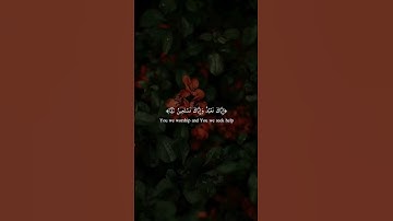 سورة #الفاتحة تلاوة خاشعة بصوت الشيخ (#ماهر_المعيقلي 🎧❤)