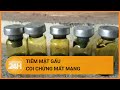 Suýt chết khi tự tiêm mật gấu chữa đau xương khớp | Toàn cảnh 24h