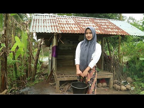 Janda Desa Hidup Sendiri Butuh Pendamping Hidup Yang Bertanggung Jawab
